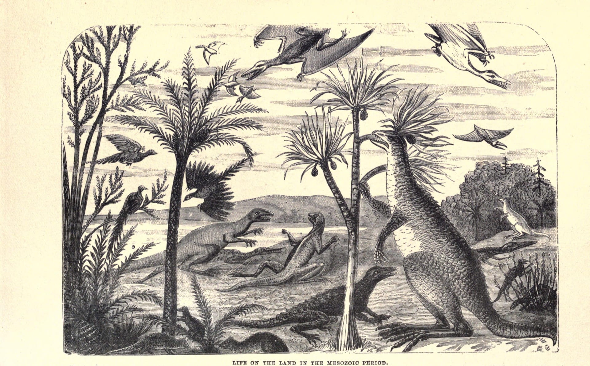 nineteenth century rendering of dinosaurs roaming the landscape
